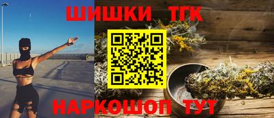 индика Нягань