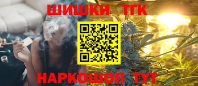 индика Нягань