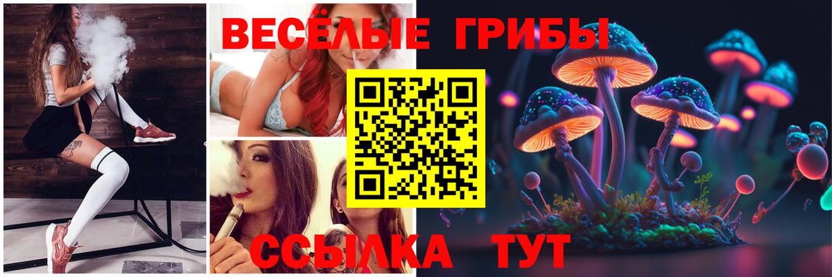 Галлюциногенные грибы GOLDEN TEACHER Сосновый Бор